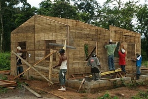 Bambu building