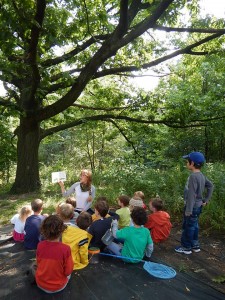 High Park Nature Centre and Sistema Toronto have both received grants from the Toronto Foundation and both have profiles on the CKC.