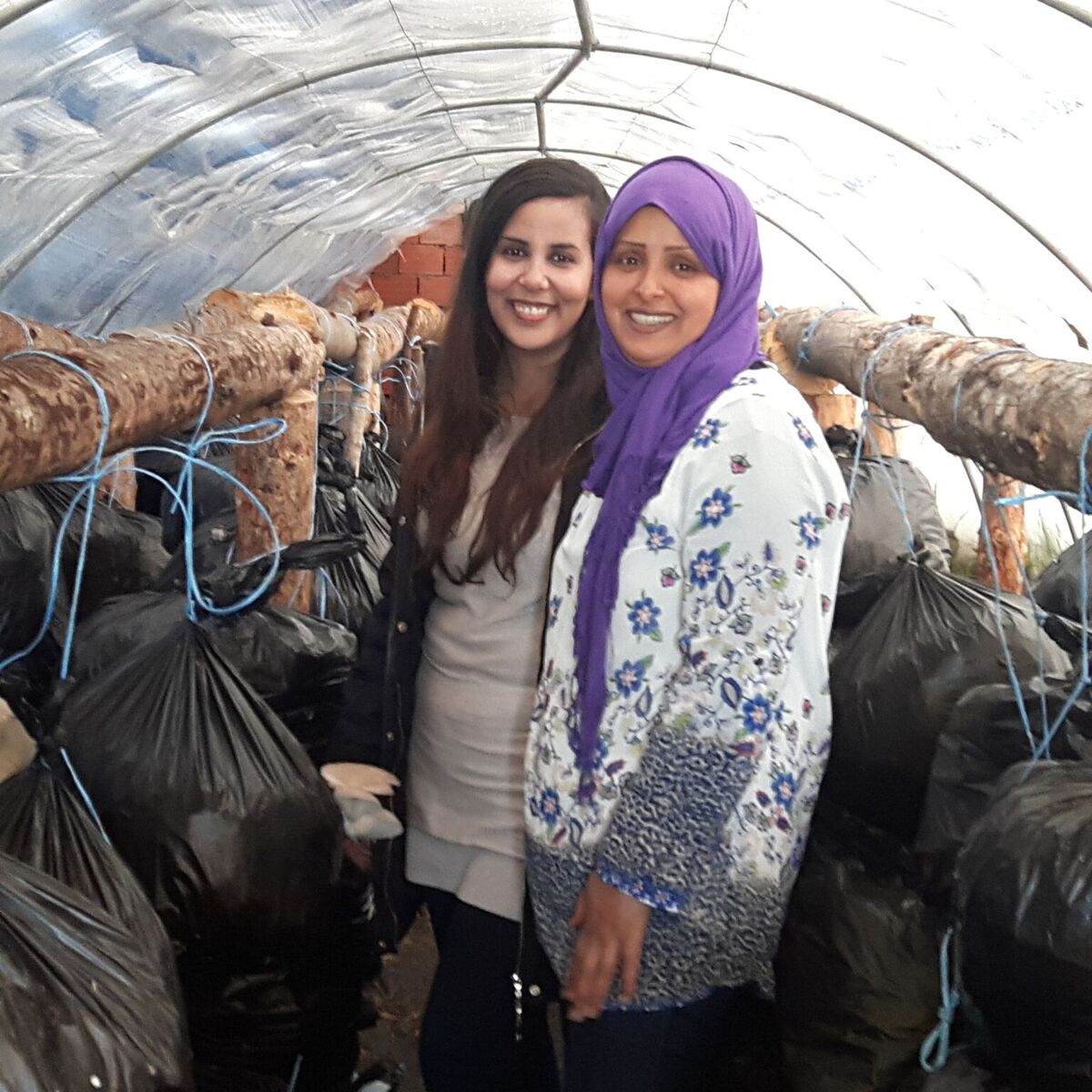 Fikra programmes support community projects in Tunisia, in this case a small mushroom growing enterprise.